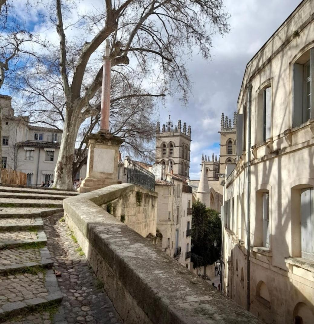 Design, Wifi, Centre Historique, Balcon Appartement *